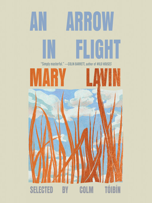 Cover image for An Arrow in Flight